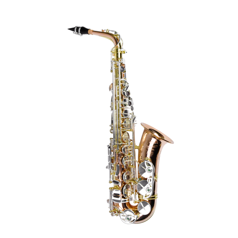 PMSA-600 Venus
